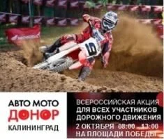2 октября - Всероссийская донорская акция "АвтоМотоДонор"