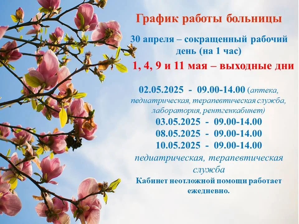 График работы больницы в праздничные дни