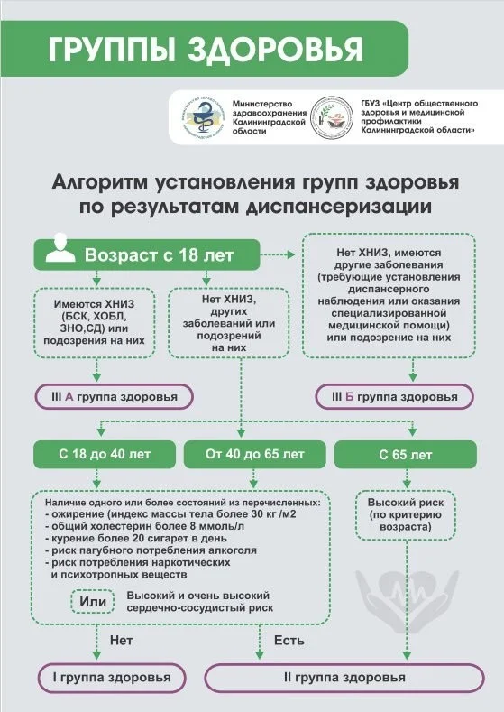 дисп 2.jpg