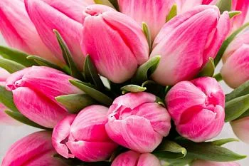 Работники системы здравоохранения региона получили правительственные награды