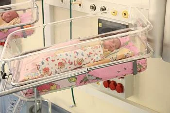 Благодаря процедуре ЭКО за пять месяцев этого года в регионе родилось больше ста детей